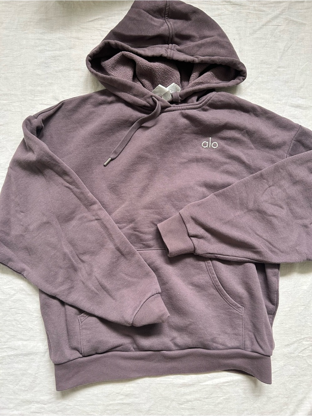 ALO Yoga Hooded Pullover Sweatshirt - Dusty Mauve